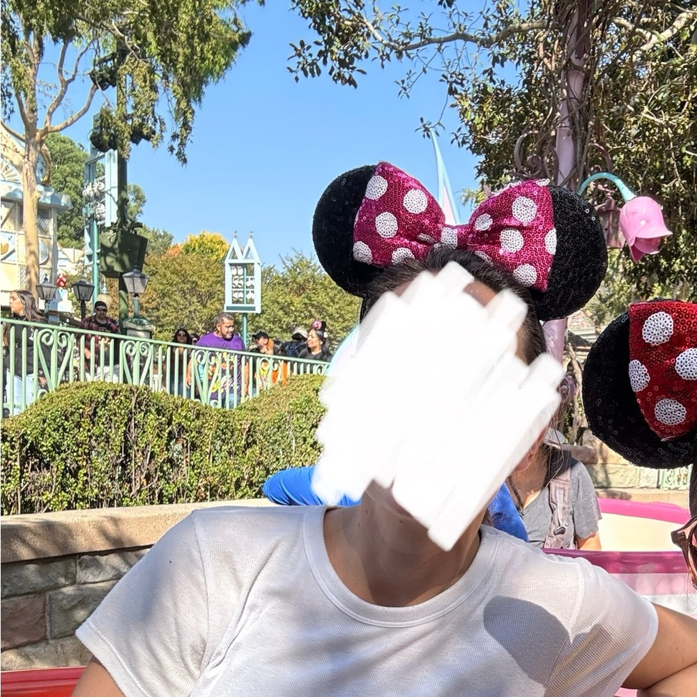 Minnie ears worn once!